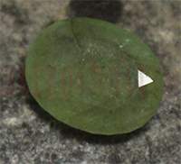 No Image Found